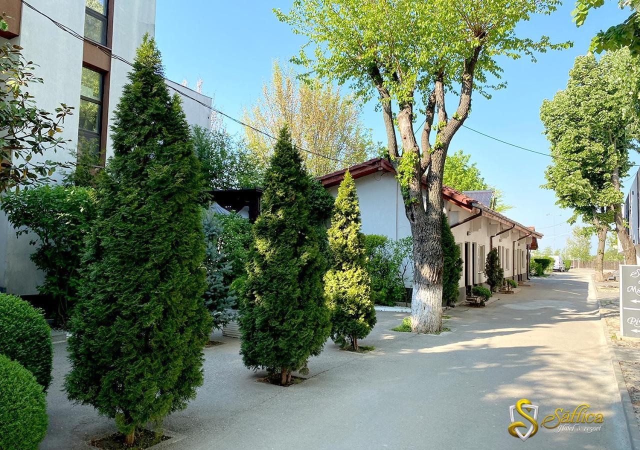 Hotel Saftica 汽车旅馆 3*